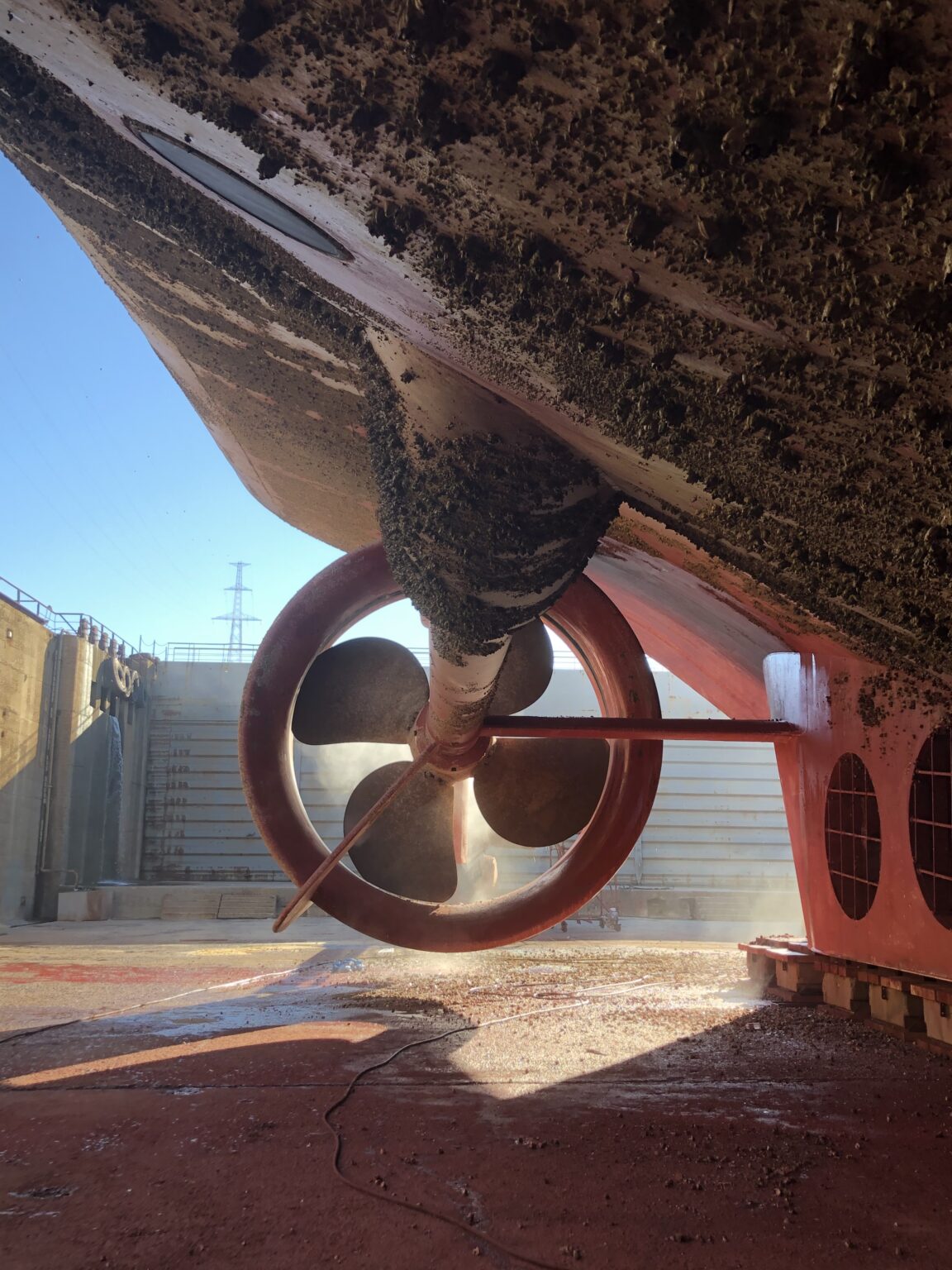 Vessel propeller and hull during dry dock